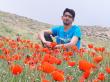 313 هم قدم